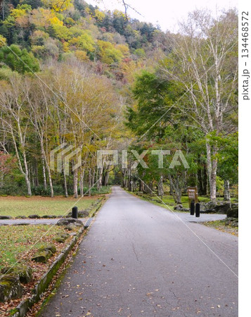 日光国立公園「丸沼」 134468572