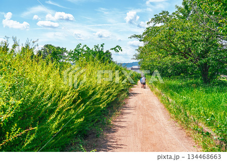 楽しい夏休みに日差しを浴びて川遊びをしている少年 134468663