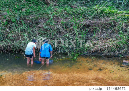 楽しい夏休みに日差しを浴びて川遊びをしている少年 楽しい夏休みに日差しを浴びて川遊びをしている少年 134468671