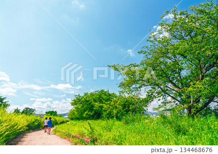 楽しい夏休みに日差しを浴びて川遊びをしている少年 134468676