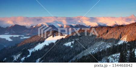 winter 134468842