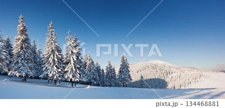 winter 134468881