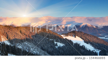 winter winter 134468893