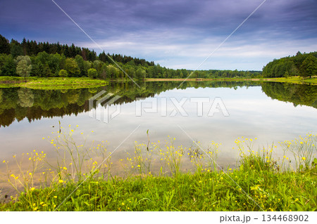 lake lake 134468902