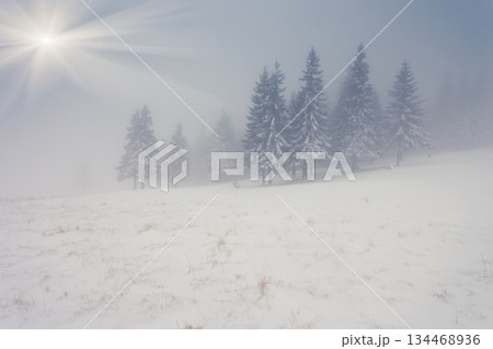 winter winter 134468936