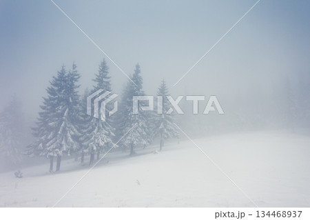 winter 134468937