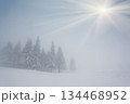 winter 134468952