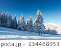 winter 134468953