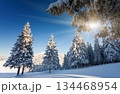 winter 134468954