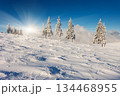 winter 134468955