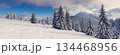 winter 134468956