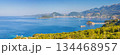 sea 134468957