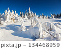 winter 134468959