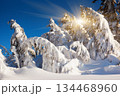 winter 134468960