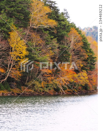 日光国立公園「菅沼」 134469212