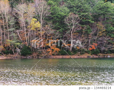 日光国立公園「菅沼」 134469214