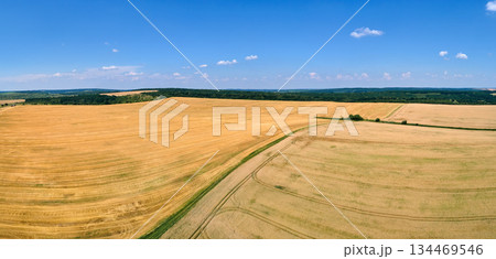 Aerial landscape view of yellow cultivated agricultural field with ripe wheat on bright summer day 134469546