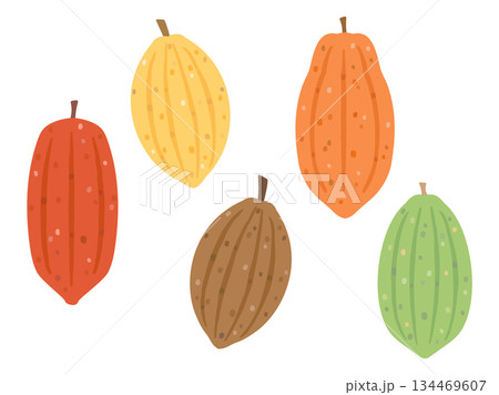 カラフルなカカオの実のイラストのセット カラフルなカカオの実のイラストのセット 134469607