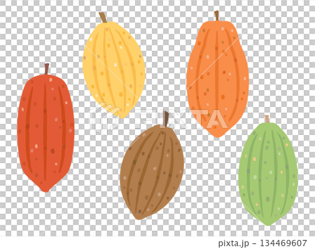 一組色彩繽紛的可可豆插圖 134469607