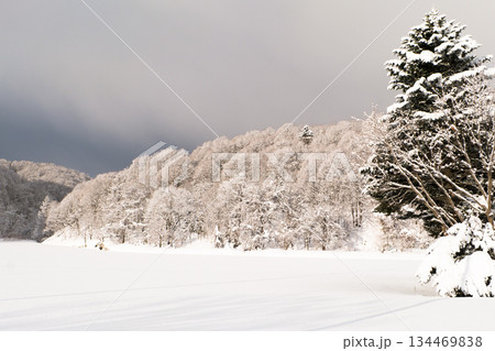 雪国の静かで穏やかな朝の雪に覆われた冬の里山 雪国の静かで穏やかな朝の雪に覆われた冬の里山 134469838