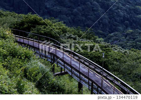 皿倉山スロープカーのレール 皿倉山スロープカーのレール 134470119