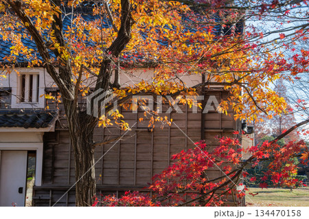 板壁と紅葉 134470158