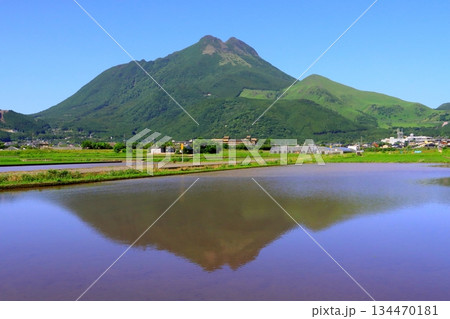初夏の由布岳(豊後富士・由布市湯布院町) 初夏の由布岳(豊後富士・由布市湯布院町) 134470181