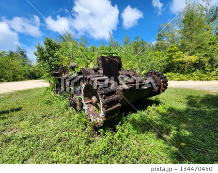 パラオ　ミクロネシア　南洋 134470450