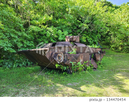 パラオ ミクロネシア 南洋 パラオ ミクロネシア 南洋 134470454