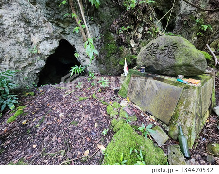 パラオ　ペリリュー島　南洋 134470532