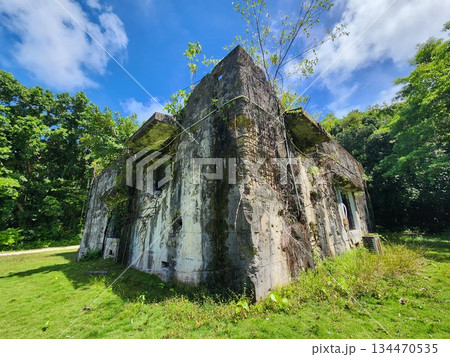 パラオ　ペリリュー島　南洋 134470535