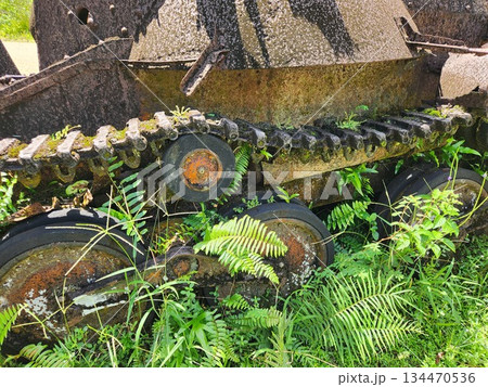 パラオ　ペリリュー島　南洋 134470536