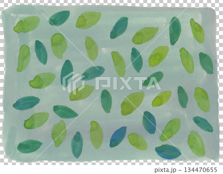 植物の葉のパターン 134470655