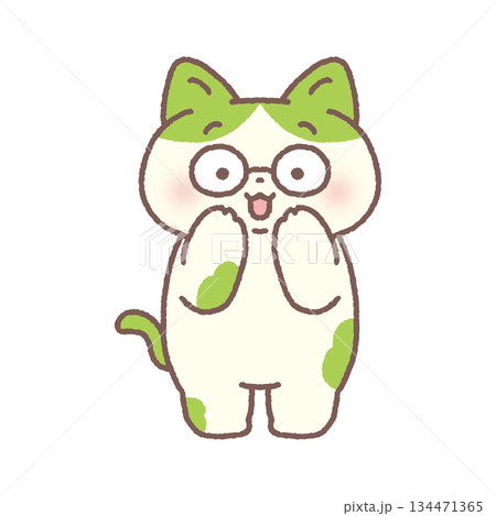 メガネをかけているかわいいネコ 134471365