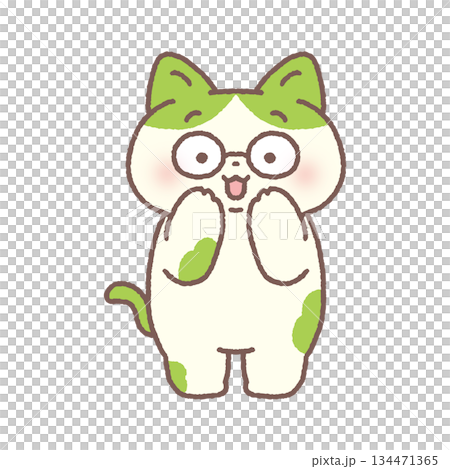 メガネをかけているかわいいネコ 134471365