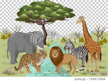 Acacia trees and savanna animals Acacia trees and savanna animals 134471668