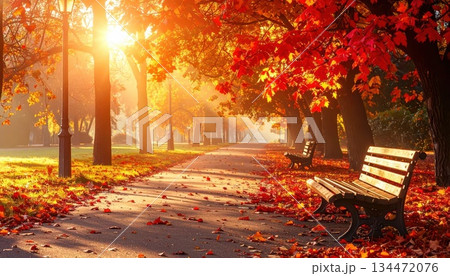 《AI画像》紅葉した秋の森林 134472076