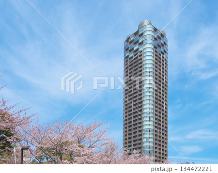 桜咲く東京ミッドタウン六本木の春　都市景観（2022年4月） 134472221