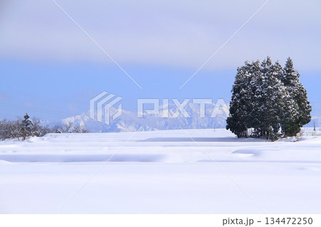 雪原 雪原 134472250