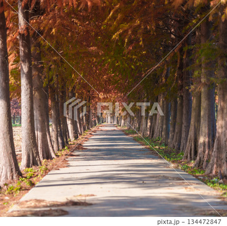 無人 屋外 野外 134472847