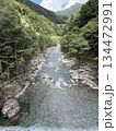 南アルプスの源流　野呂川の流れ 134472991
