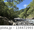 南アルプスの源流　野呂川の流れ 134472993
