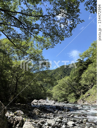 南アルプスの源流 野呂川の流れ 南アルプスの源流 野呂川の流れ 134472994