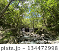 南アルプスの源流　野呂川の流れ 134472998