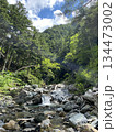 南アルプスの源流　野呂川の流れ 134473002