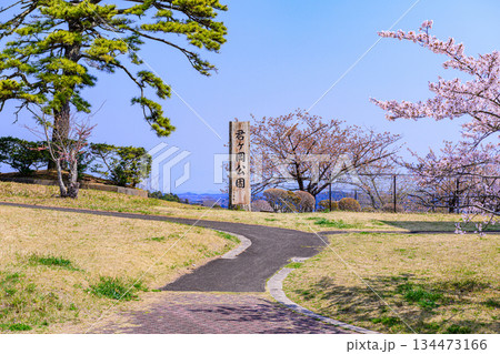 宮城県七ヶ浜町 春の君ケ岡公園 134473166