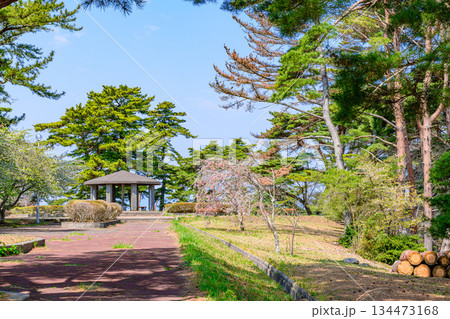 宮城県七ヶ浜町 春の君ケ岡公園 宮城県七ヶ浜町 春の君ケ岡公園 134473168