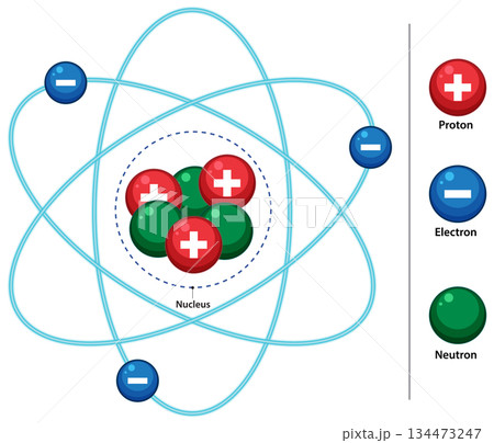 Vector Diagram of Atom Structure With Electrons and Nucleus Vector Diagram of Atom Structure With Electrons and Nucleus 134473247