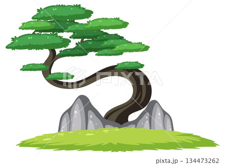 Curved Bonsai Tree with Rocks on Grassy Ground Curved Bonsai Tree with Rocks on Grassy Ground 134473262