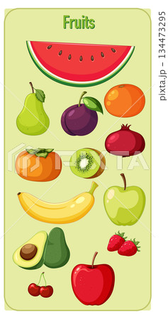 Colorful Assorted Fruits Vector Illustration on Light Background Colorful Assorted Fruits Vector Illustration on Light Background 134473295